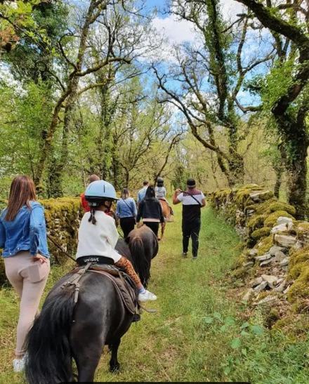 Gites Sur Le Causse De St Chels, Charme Sport Et Detente Saint-Chels エクステリア 写真